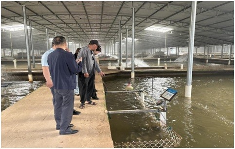黃岡市僑聯(lián)到武穴調(diào)研 ?助力僑屬企業(yè)高質(zhì)量發(fā)展